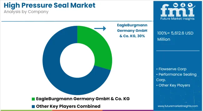 High Pressure Seal Market   Analysis By Company